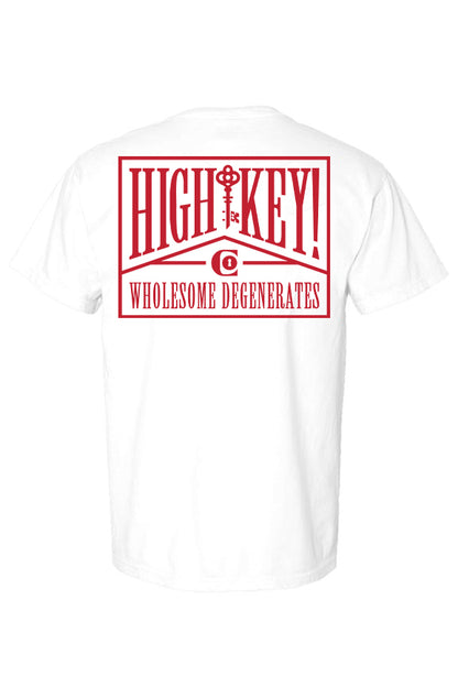 WHOLESOME DEGENERATES TEE